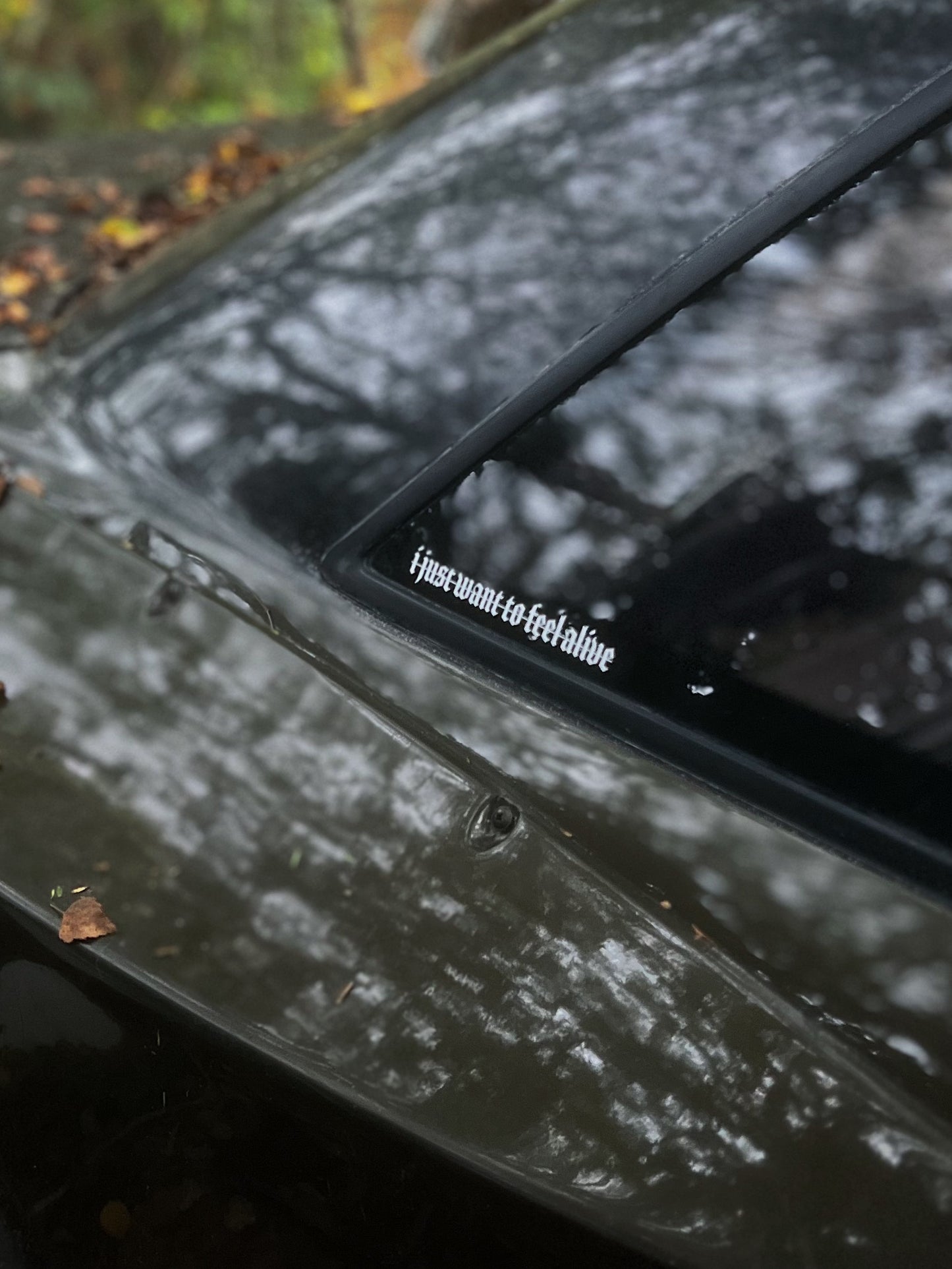 I JUST WANT TO FEEL ALIVE STICKER DECAL Rod Knock Garage Car Sticker Decal