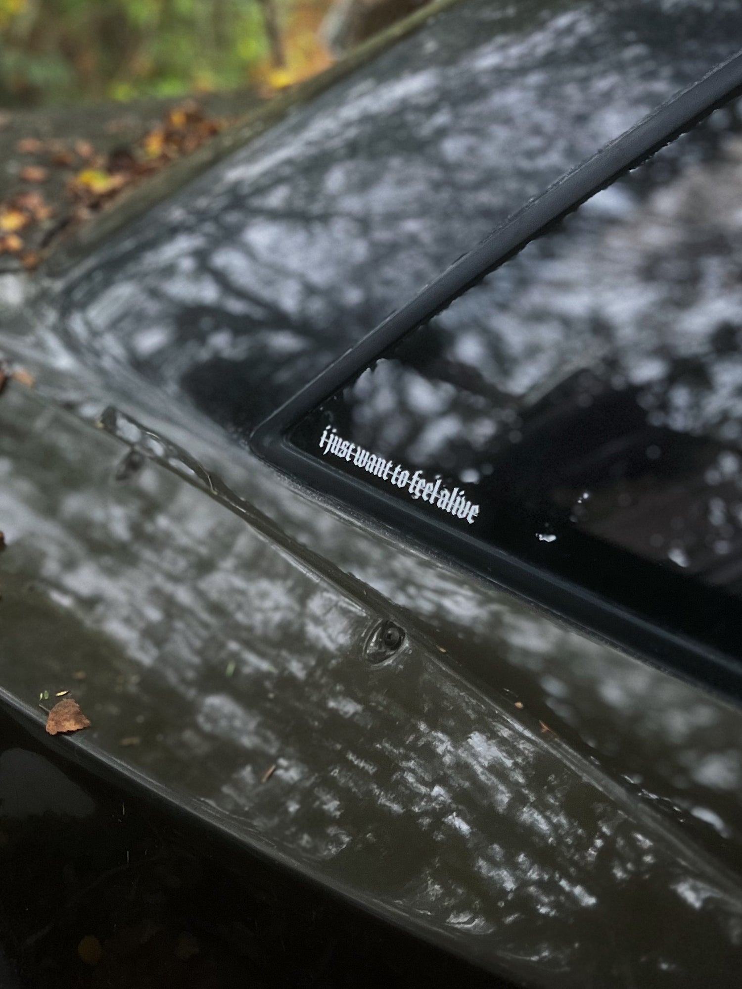 I JUST WANT TO FEEL ALIVE STICKER DECAL Rod Knock Garage Car Sticker Decal